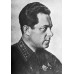 КОМАНДАРМ 1-го Ранга, ПЕХОТА, петлицы и нарукавные знаки обр. 1935 г..